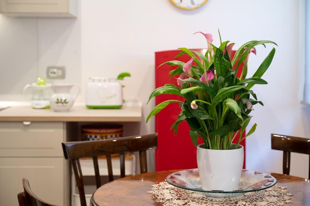 Casa Bouganville - St. Peter Romantic Apartment المظهر الخارجي الصورة